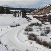 Taylor Fork Road