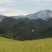 Bruffey Road Overlook