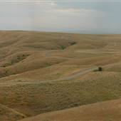Cottonwood Creek Road