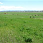 Lewistown (Castle Butte & Castle Creek Farmhouses)