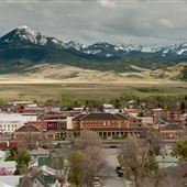 Livingston
