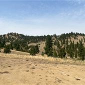 Foley Ranch - Clancy, MT
