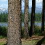 Seeley Lake