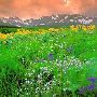 Rocky Mountain Front