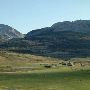 Apex Angus Ranch