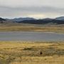 Gravelly Lake