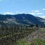 Ten Spoon Vineyard and Winery