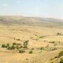 Grewell Ranch