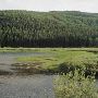 Salmon Lake