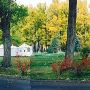 Fall Colors