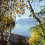 Fall Colors