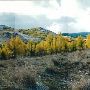 Anaconda  [Fall]