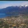 Whitefish