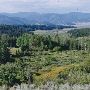 Mule Ranch