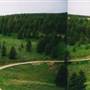 Cliff Lake