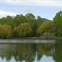 Bozeman Pond Park