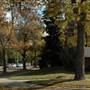 Montana State University