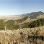Ridgeway Property