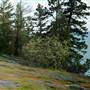 Flathead Lake