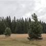 Crosscut Mountain Sports Center - (formerly Bohart Ranch)