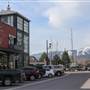 Whitefish