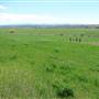 Lewistown (Castle Butte & Castle Creek Farmhouses)