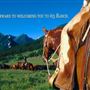 63 Ranch