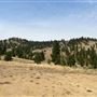Foley Ranch - Clancy, MT