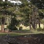 Fleecer Mountain Road
