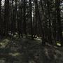 Fleecer Mountain Road