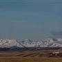 AMS Ranch
