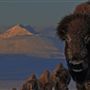 Blackfeet Indian Reservation