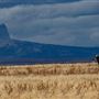 Blackfeet Indian Reservation