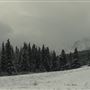 Cut Bank Creek Valley and Overlooks