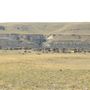 Blackfeet Nation Hoodoos