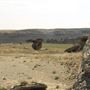 Blackfeet Nation Hoodoos