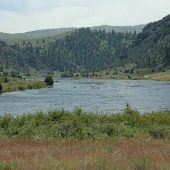 Madison River - Cameron