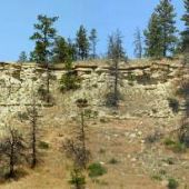 Bellion Creek Canyon