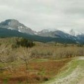 Badger Creek Road