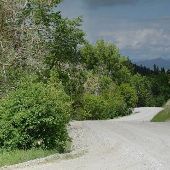 Cox Lake Road