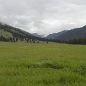 Durnam Meadow