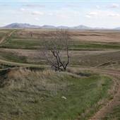 Snake Creek Road