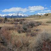 Plaggemeyer Ranch