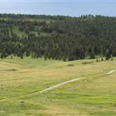 Livingston Peak Road