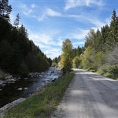 Mill Creek/BULLDOZER Rd