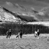 Blackfeet Indian Reservation