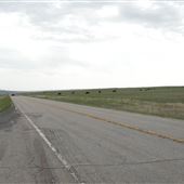 US-87 -  (2026)