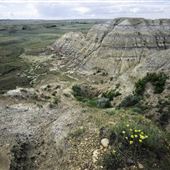 BIttercreek Wilderness (2026)