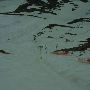 Beartooth Basin Ski Area