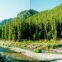 Teton River